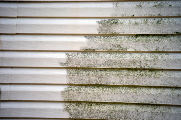 Best Yard Waste Removal  in Victoria, MS