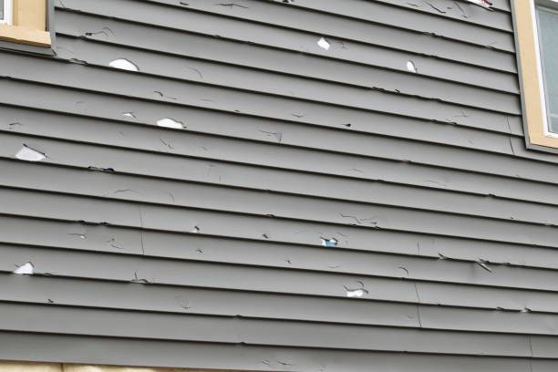 Best Construction Debris Removal  in Victoria, MS